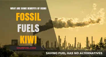 Fossil Fuels: Kiwi's Energy Security and Economic Growth