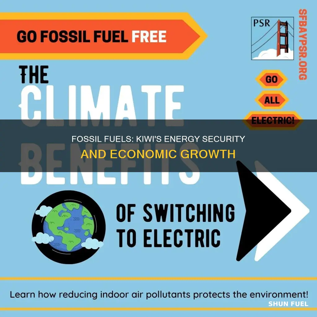 what are some benefits of using fossil fuels kiwi