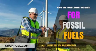 Fossil Fuel Careers: Diverse Opportunities in Energy