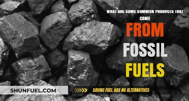 Products of Fossil Fuels: Everyday Items You Didn't Know About
