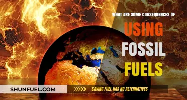 Fossil Fuels: Damaging Effects on Our Planet