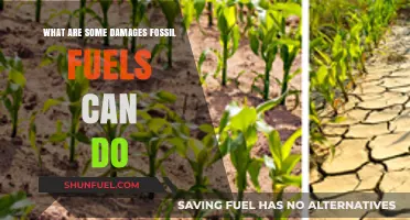 Fossil Fuels: Damages and Devastation