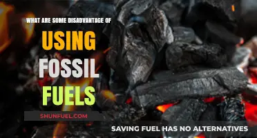 Fossil Fuels: Disadvantages and Drawbacks
