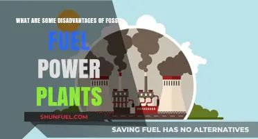 Fossil Fuel Power Plants: More Harm Than Good?