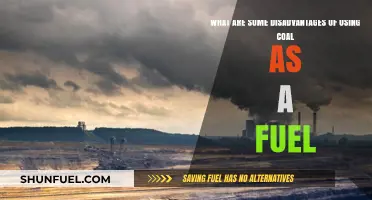 Coal's Dark Side: Environmental and Health Disadvantages of Coal Fuel