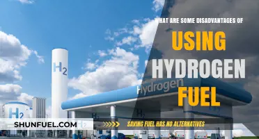 Hydrogen Fuel Challenges: Exploring the Downsides of Clean Energy Adoption