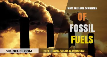 Fossil Fuels: Damaging Our Planet and Our Health