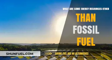 Explore Clean Energy Sources Beyond Fossil Fuels