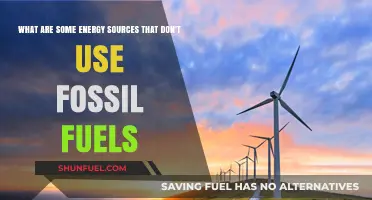 Explore Clean Energy Sources Beyond Fossil Fuels
