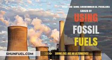 Fossil Fuel Usage: Environmental Hazards and Harmful Impacts