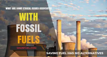 Fossil Fuels: Ethical Concerns and Environmental Impact
