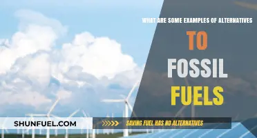 Green Energy Sources: Alternatives to Fossil Fuels