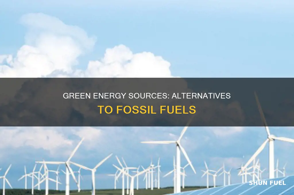 what are some examples of alternatives to fossil fuels