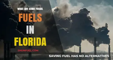 Fossil Fuels in Florida: Exploring the Sunshine State's Energy Sources