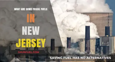 Fossil Fuel Sources in New Jersey