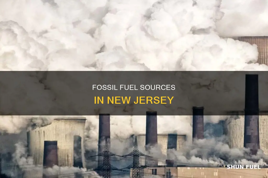 what are some fossil fuels in new jersey