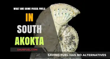South Akokta's Fossil Fuel Treasures