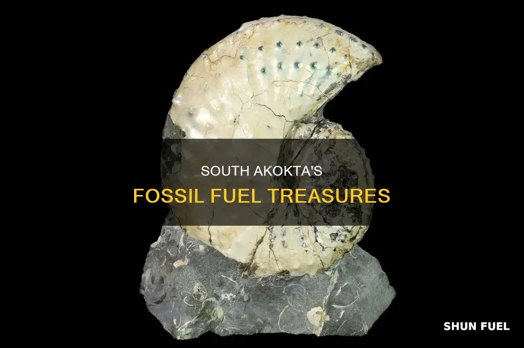 what are some fossil fuels in south akokta