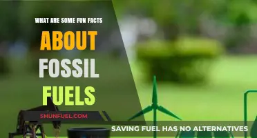 The Surprising Truth About Fossil Fuels