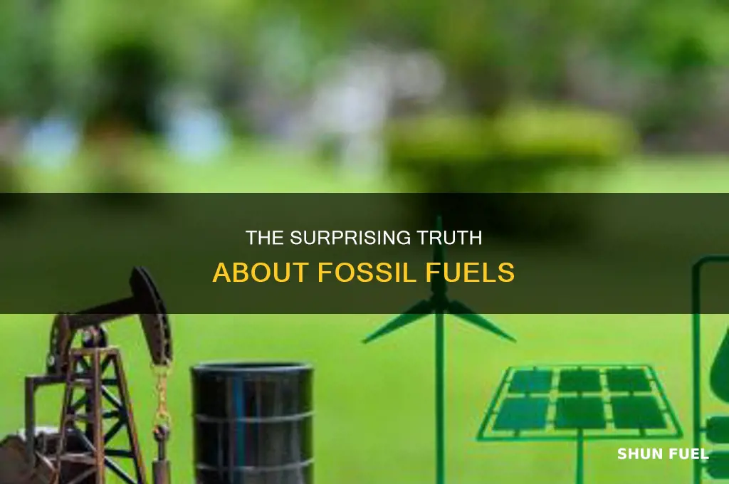 what are some fun facts about fossil fuels