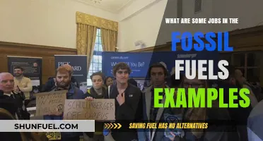 Lucrative Fossil Fuel Careers: Examples and Insights