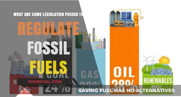 Fossil Fuel Regulation: Laws Passed to Control Energy Sector