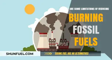 Fossil Fuel Reduction: Limitations and Challenges