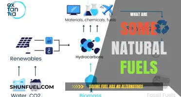 Exploring Earth's Natural Fuels: Sustainable Energy Sources for a Greener Future
