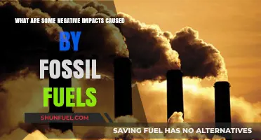 Fossil Fuels: Damaging Our Planet and Our Health