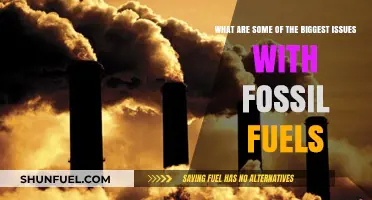Fossil Fuels: Damaging Our Planet, Our Health