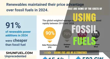 The Hidden Costs of Fossil Fuels