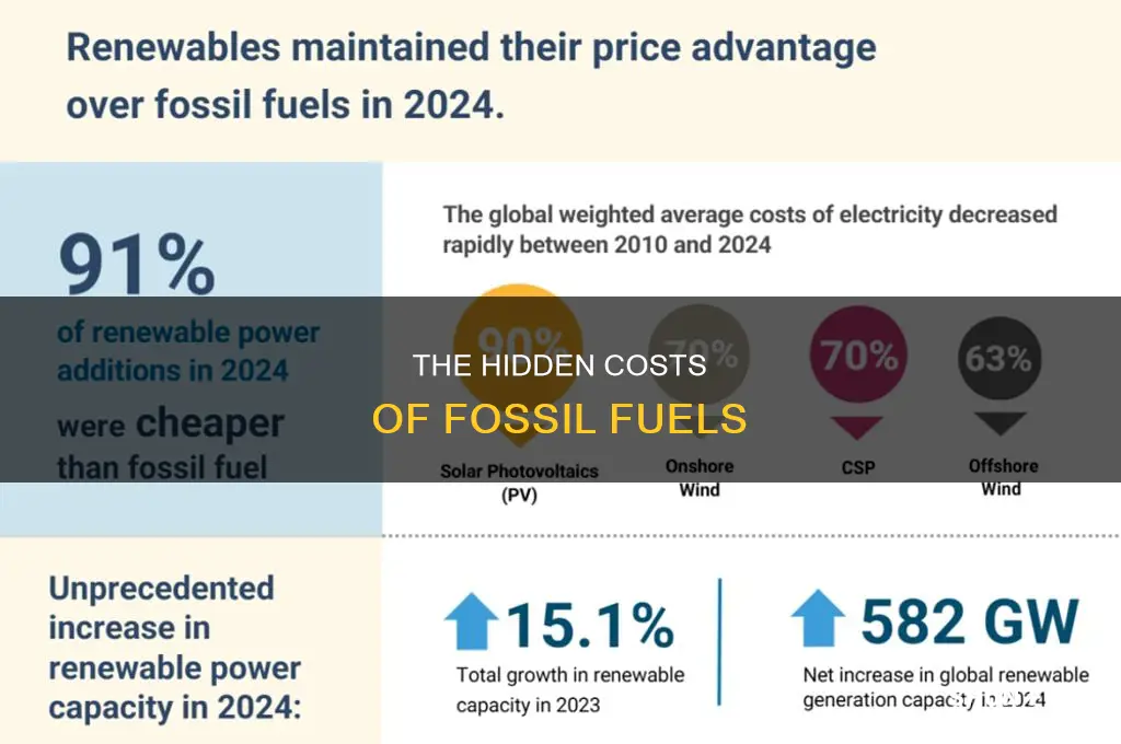 what are some of the costs of using fossil fuels