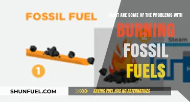 Fossil Fuels: Burning Issues and Problems