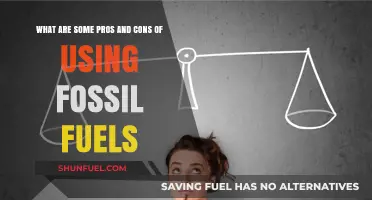 Fossil Fuels: Pros, Cons, and Our Future
