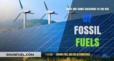 Sustainable Alternatives: Reducing Fossil Fuel Dependence for a Greener Future