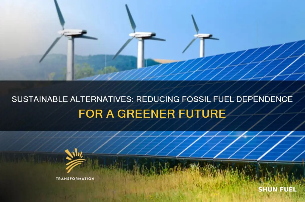 what are some solutions to the use of fossil fuels