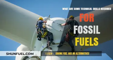 Technical Skills for Fossil Fuel Engineers