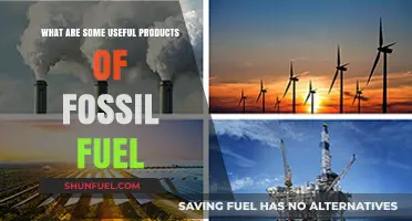 Useful Products of Fossil Fuels: Powering Our World