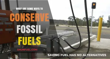 Conserving Fossil Fuels: Tips for a Sustainable Future