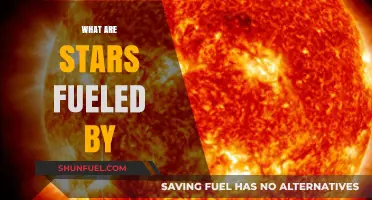 The Cosmic Furnace: Unveiling the Nuclear Power Behind Stars