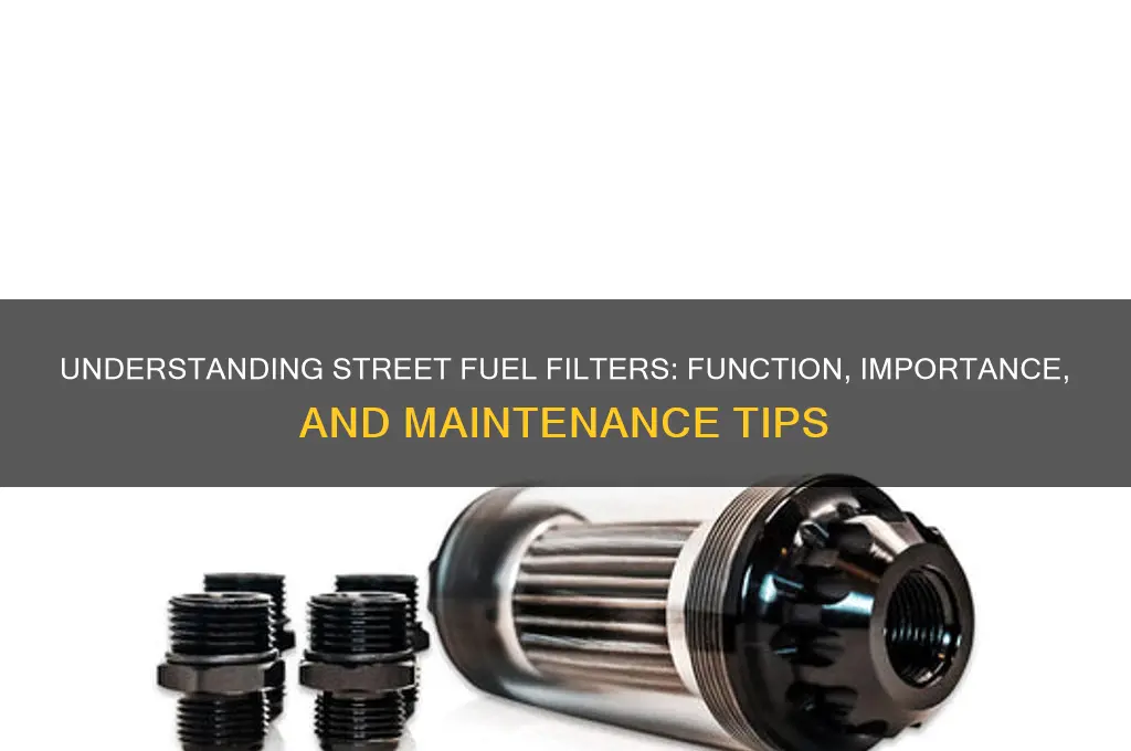 what are street fuel filters