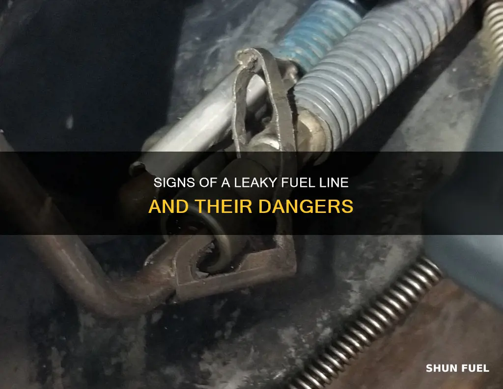 what are symptoms of leaky fuel line