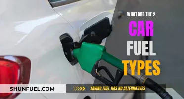 Exploring Two Distinct Car Fuel Types and Their Differences