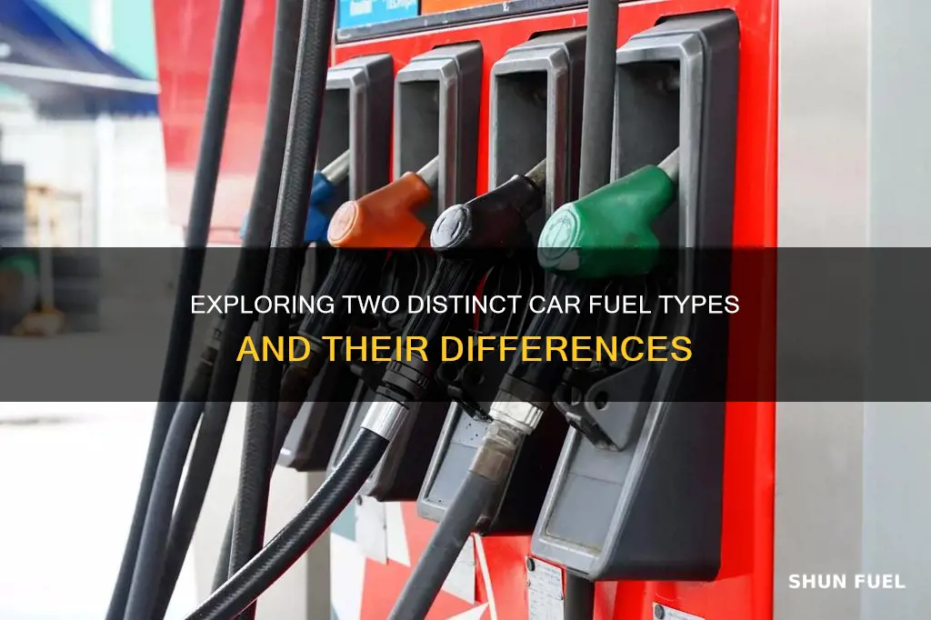 what are the 2 car fuel types