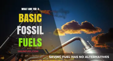 Fossil Fuels: Exploring Oil, Gas, and Coal's Dark Legacy