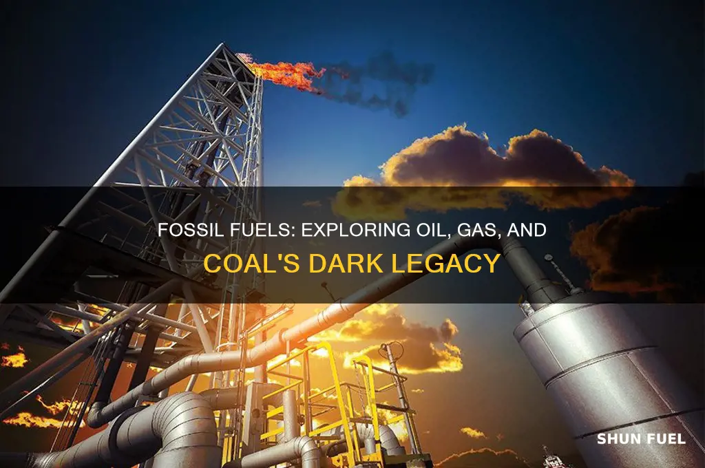 what are the 3 basic fossil fuels