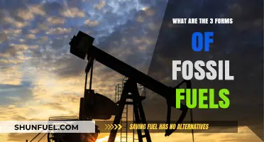 Fossil Fuel Forms: Understanding the Three Key Sources