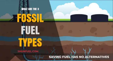 Fossil Fuel Types: Understanding the Big Three Energy Sources
