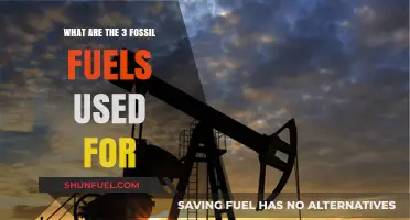 Fossil Fuels: The Three Key Energy Sources