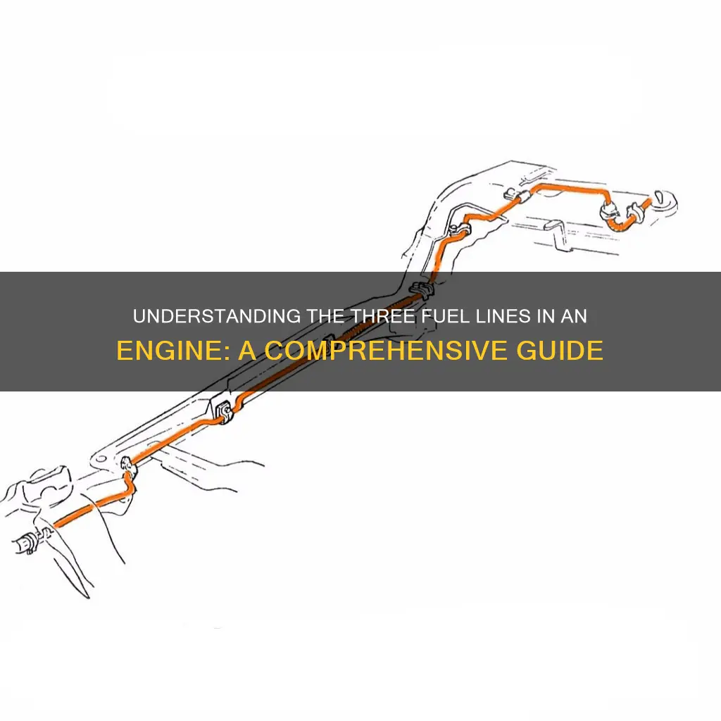 what are the 3 fuel line at engine